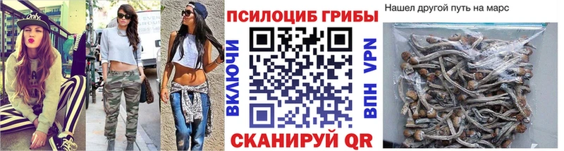 Псилоцибиновые грибы MAGIC MUSHROOMS  Купить  Нолинск 
